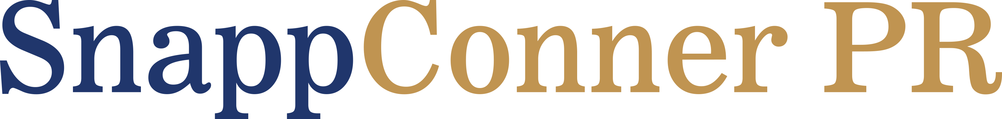 Logo with "Snapp" in navy blue letters and "Conner PR" in gold letters.